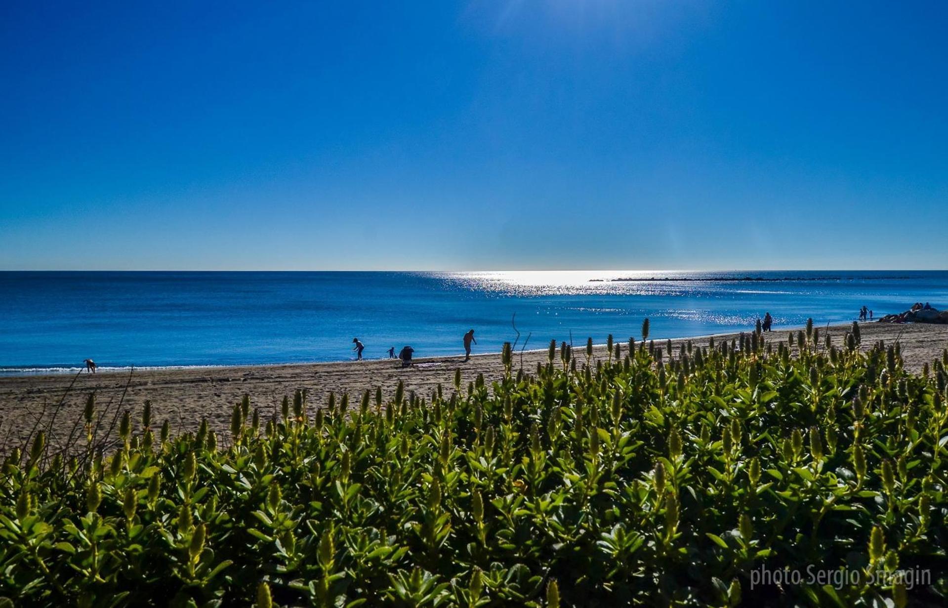 426 Estudio En Minerva Apartamentos - Vista Al Jardin - Piscina Y Playa ベナルマデナ エクステリア 写真
