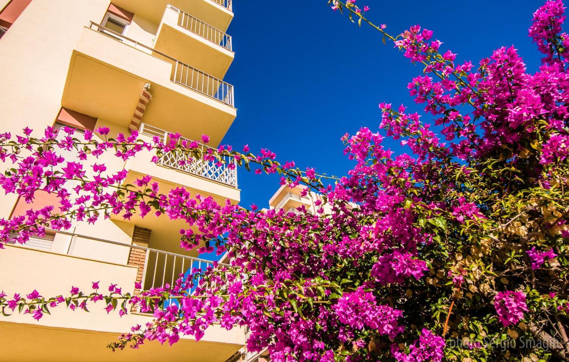 426 Estudio En Minerva Apartamentos - Vista Al Jardin - Piscina Y Playa ベナルマデナ エクステリア 写真