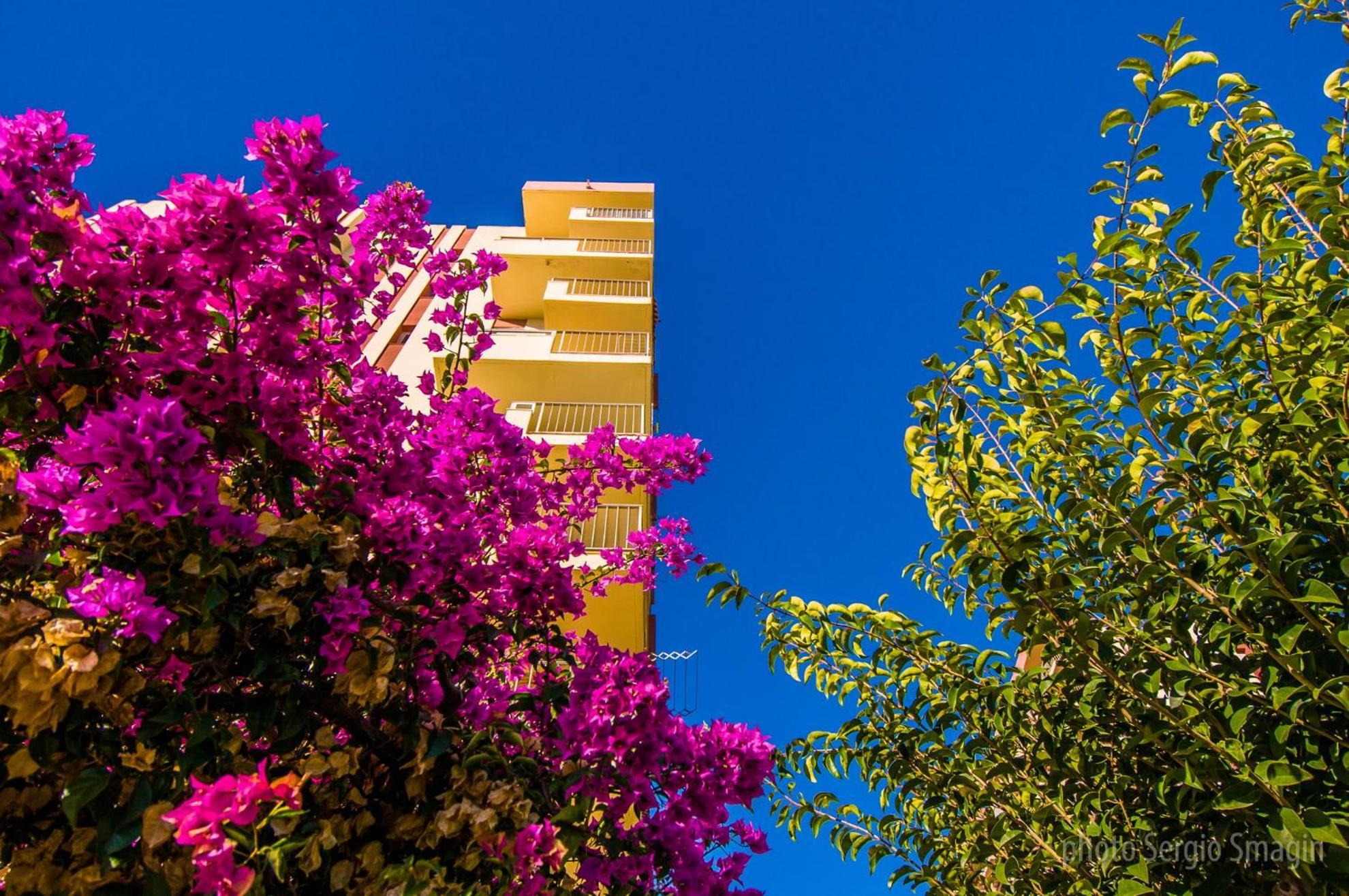 426 Estudio En Minerva Apartamentos - Vista Al Jardin - Piscina Y Playa ベナルマデナ エクステリア 写真