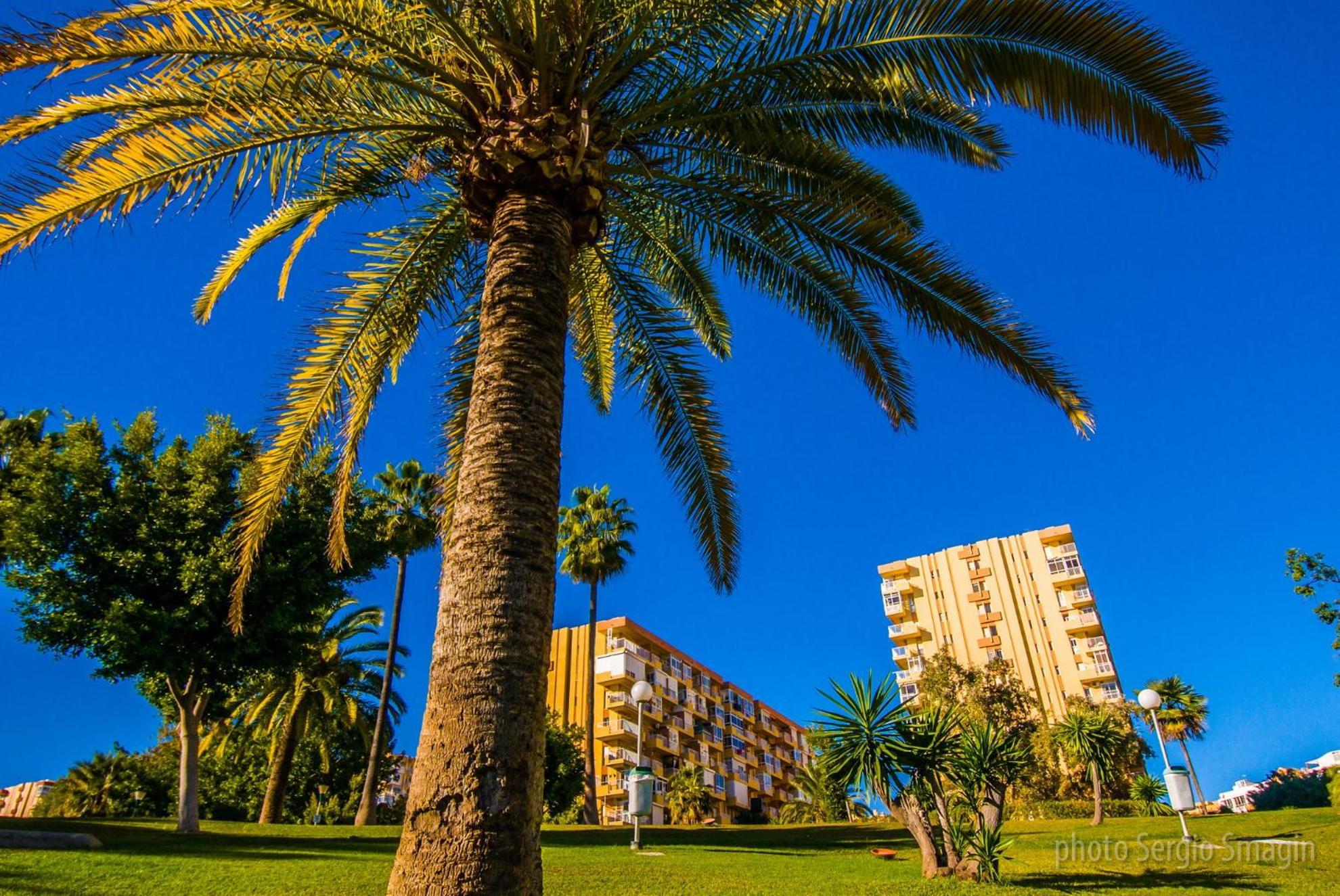 426 Estudio En Minerva Apartamentos - Vista Al Jardin - Piscina Y Playa ベナルマデナ エクステリア 写真