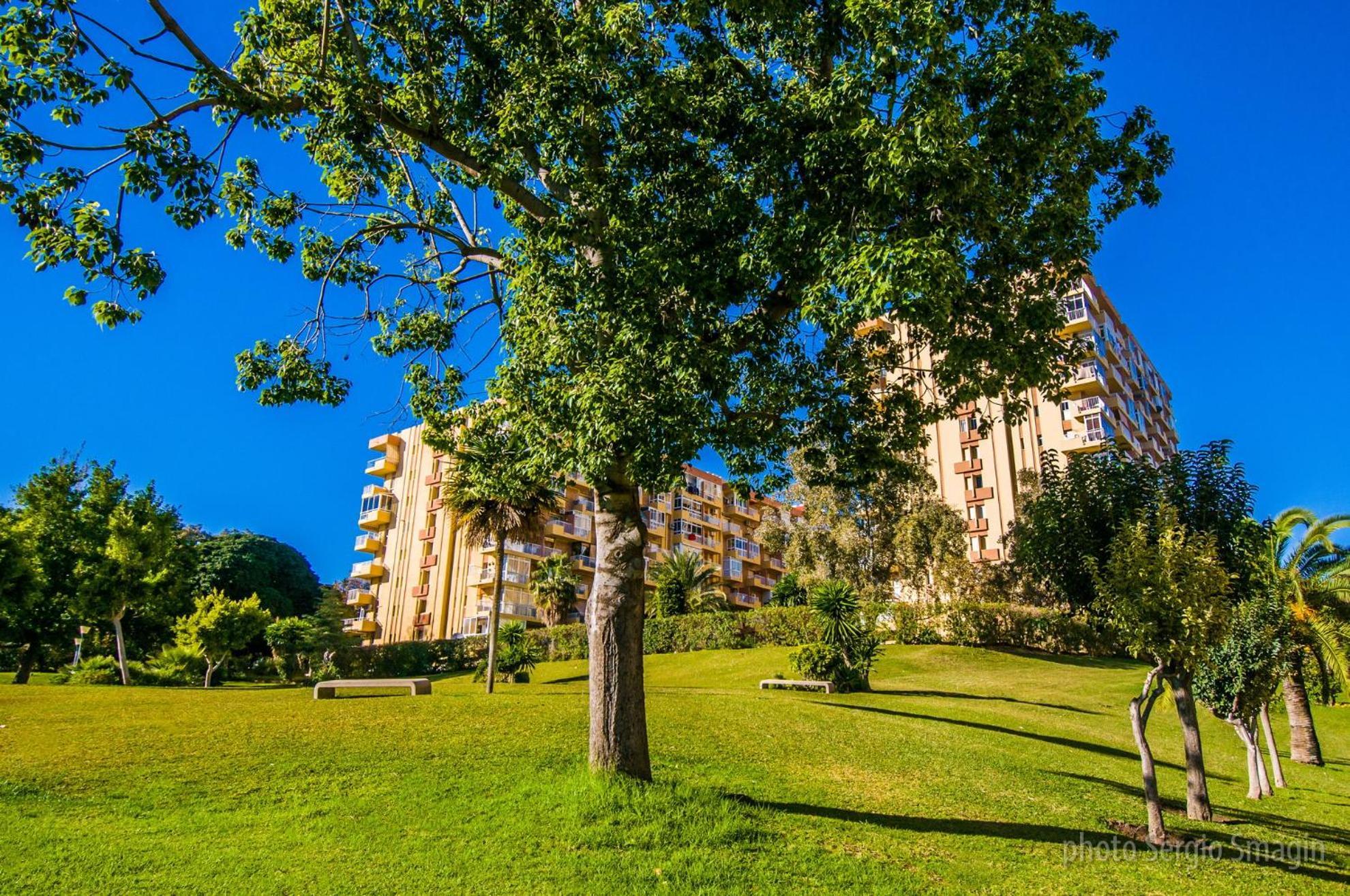 426 Estudio En Minerva Apartamentos - Vista Al Jardin - Piscina Y Playa ベナルマデナ エクステリア 写真